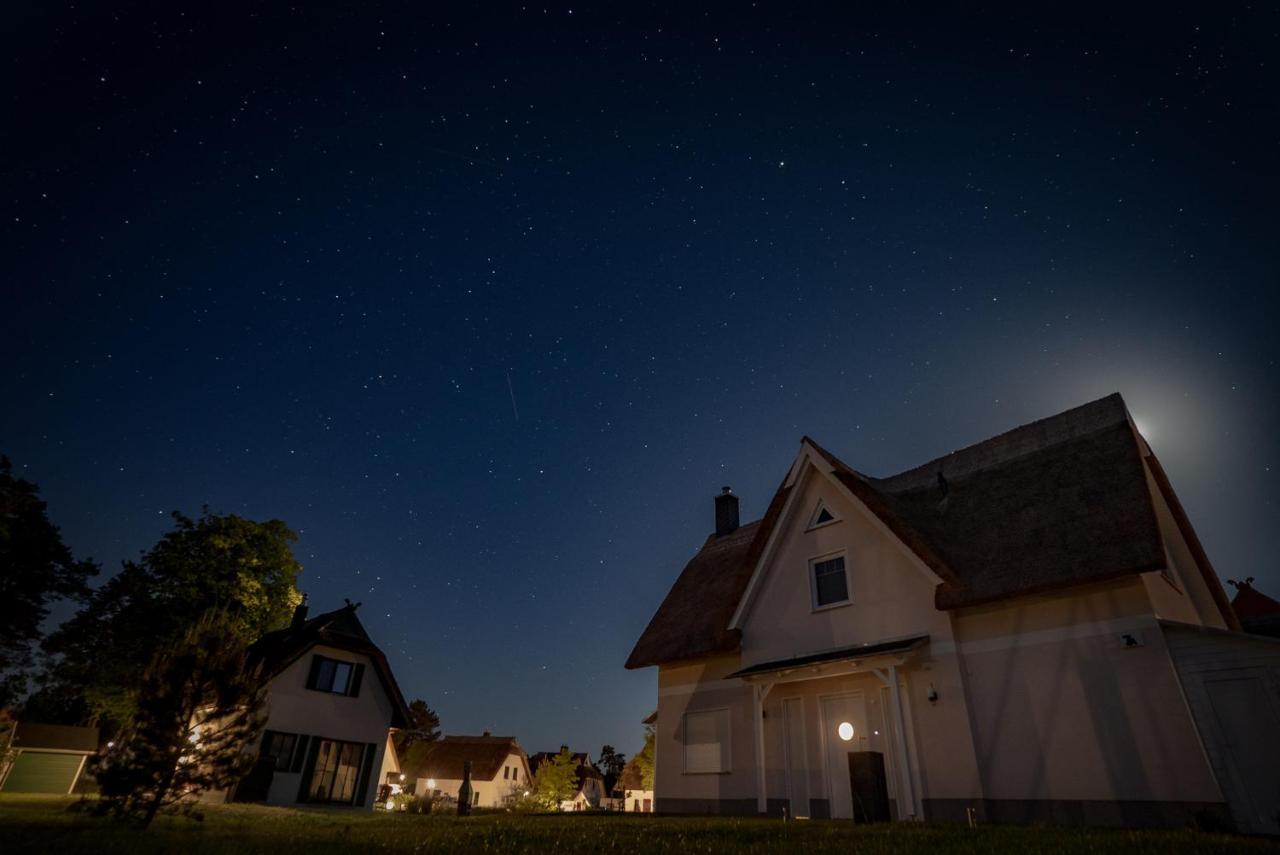 Luxusferienhaus Fuchsbau - Mit Netflix, Playstation, Sauna, Sportraum Und Kamin Zirchow Exterior photo